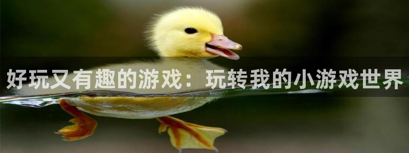 高德娱乐注册服务条款：好玩又有趣的游戏：玩转我的小游戏世界