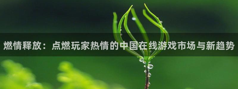 高德娱乐网页登录入口：燃情释放：点燃玩家热情的中国在线游戏市