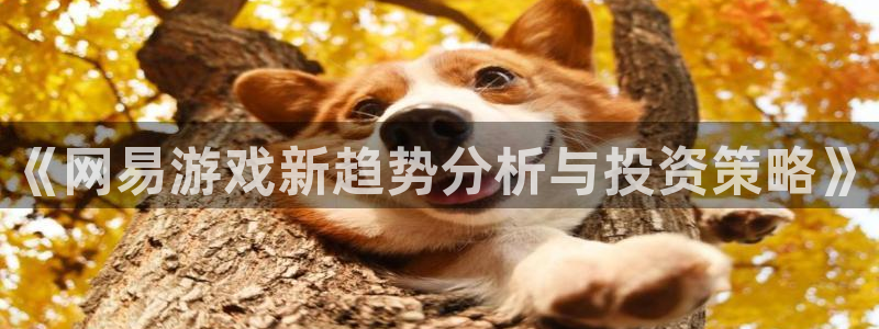 高德娱乐：《网易游戏新趋势分析与投资策略》