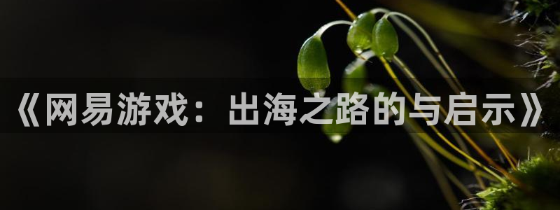 高德娱乐注册地址：《网易游戏：出海之路的与启示》