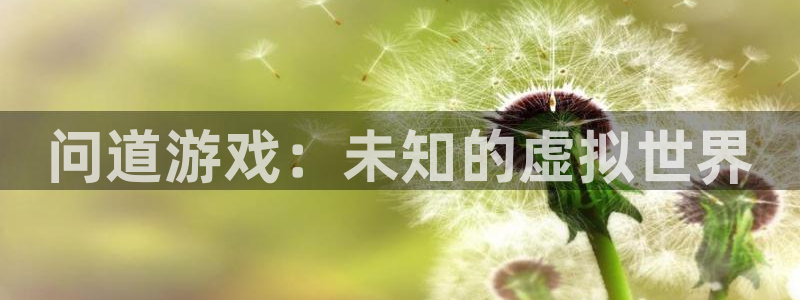 高德娱乐注册账号：问道游戏：未知的虚拟世界