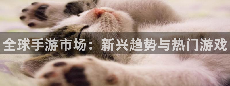 高德娱乐注册平台：全球手游市场：新兴趋势与热门游戏