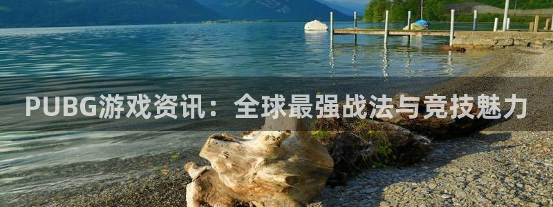 高德娱乐在线登录：PUBG游戏资讯：全球最强战法与竞技魅力
