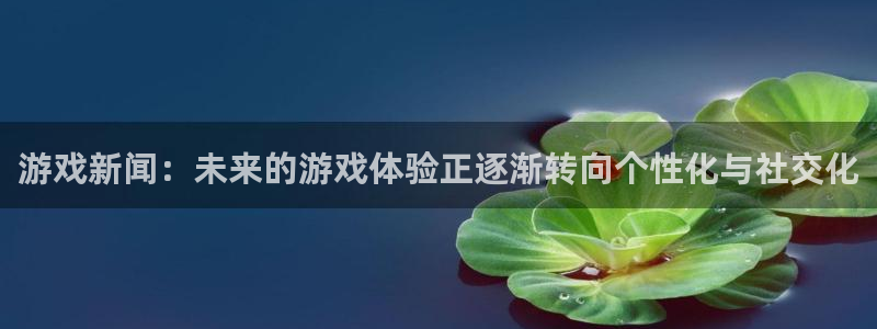 手机高德娱乐下载安装：游戏新闻：未来的游戏体验正逐渐转向个性