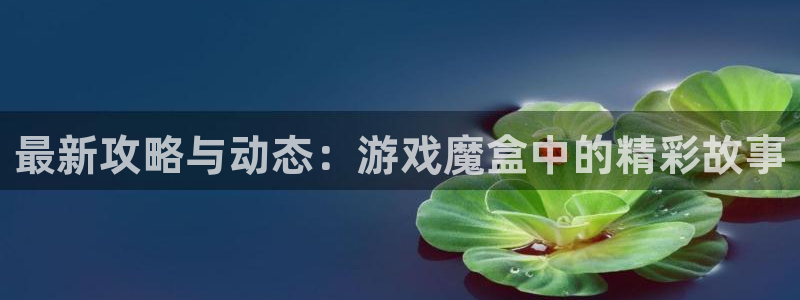 高德娱乐游戏：最新攻略与动态：游戏魔盒中的精彩故事