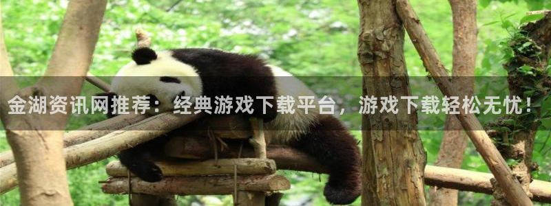 高德娱乐：金湖资讯网推荐：经典游戏下载平台，游戏下载轻松无忧
