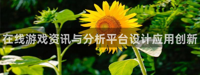 手机高德娱乐下载安装