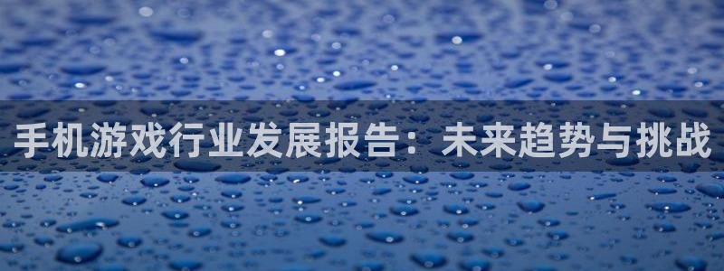 高德娱乐平台注册地址：手机游戏行业发展报告：未来趋势与挑战